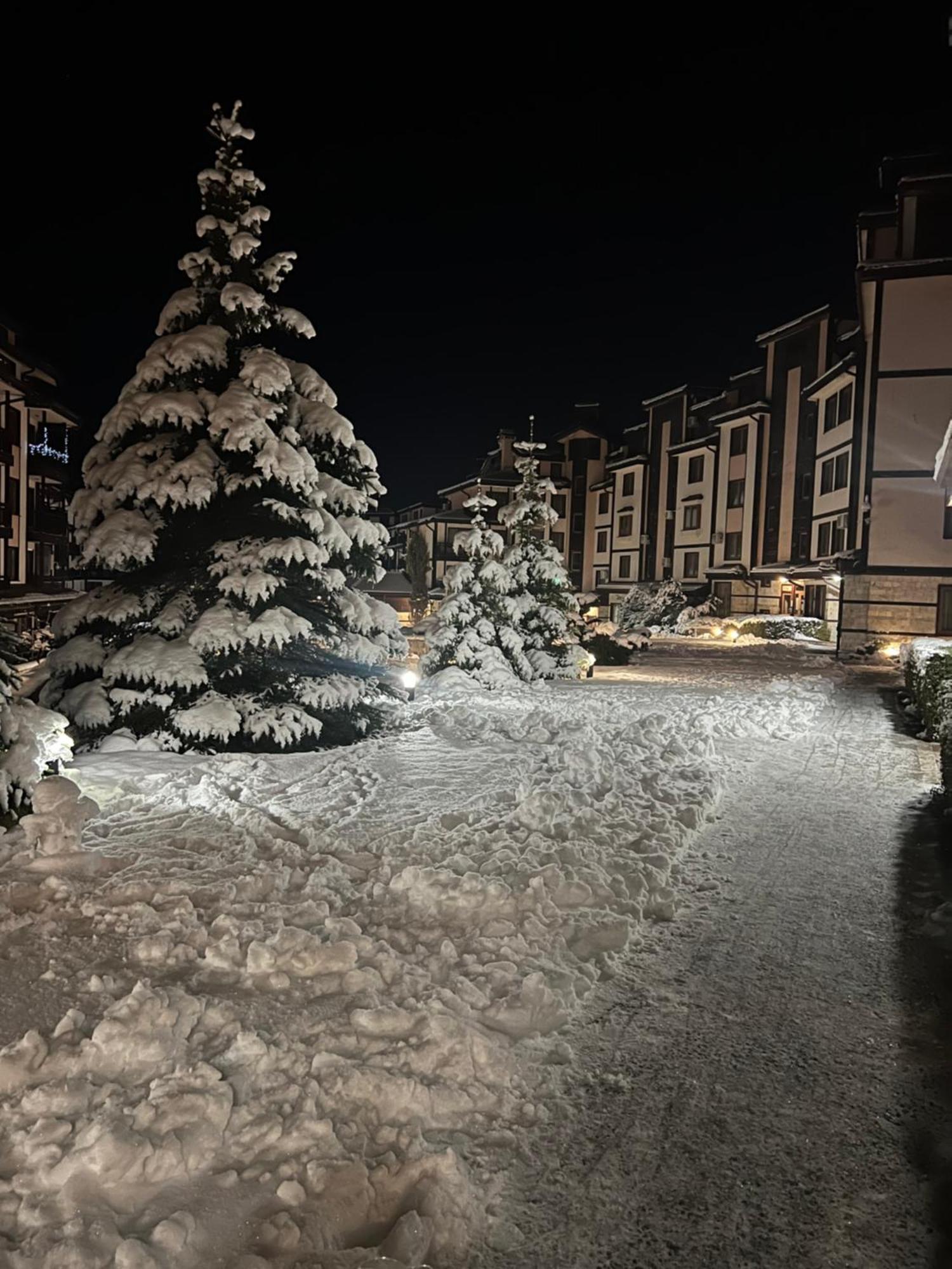 Bardarova Apartments Downtown Bansko Dış mekan fotoğraf